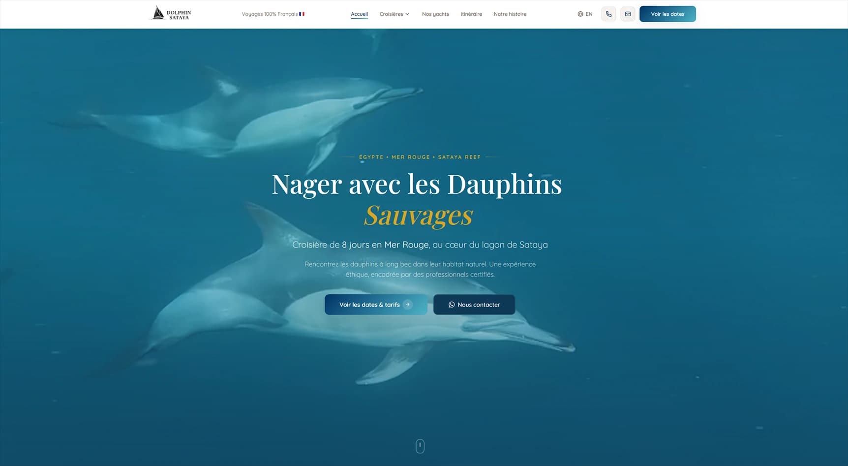 Dolphin Sataya, aperçu